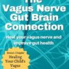The Vagus Nerve Gut Brain Connection: Heal Your Vagus Nerve and Improve Gut Health