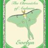 The Chronicles of Audawn: Evelyn (1)