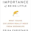 The Importance Of Being Little: What Preschoolers Really Need from Grownups