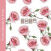 Pocket Calendar 2023-2024 for Purse: 2023-24 Design ROSES 2 Year Pocket Planner (24 Month)