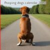 Pooping Dogs Calendar 2025: A gift for dog lovers