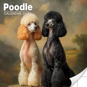 Poodle Calendar 2025: Monthly Planner Showcasing the Elegance and Charm of Poodles