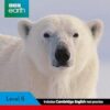Ladybird Readers Level 6 BBC Earth Amazing Predators