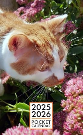 Pocket Calendar 2025-2026 for Purse - Parys Cat v4 | 2 Year Pocket Planner January 2025 - December 2026 | Small Pocket Size 4 x 6.5 | Sketches of Cats in the Middle