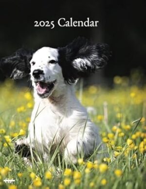 2025 Calendar: Dogs