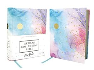 NIV Artisan Collection Bible For Girls Red Letter Edition [Multi-Colour]