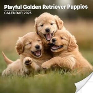 Playful Golden Retriever Puppies Calendar 2025: A Year of Joy with Adorable Golden Puppies