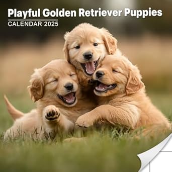Playful Golden Retriever Puppies Calendar 2025: A Year of Joy with Adorable Golden Puppies