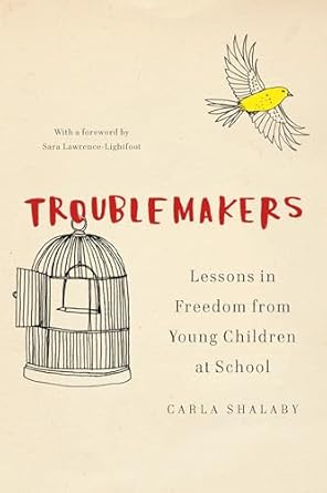 Troublemakers: Lessons in Freedom from Young Children at School