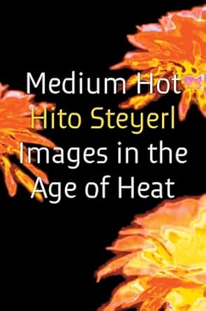 Medium Hot: Images in The Age of Heat
