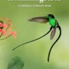 Hummingbirds: A Celebration of Nature's Jewels: 27