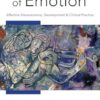 The Healing Power of Emotion: Affective Neuroscience, Development & Clinical Practice: 0