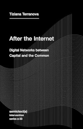 After the Internet: Digital Networks between Capital and the Common