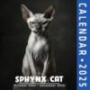 Sphynx Cat Calendar 2025: A Yearly Planner Showcasing the Unique Sphynx Cat