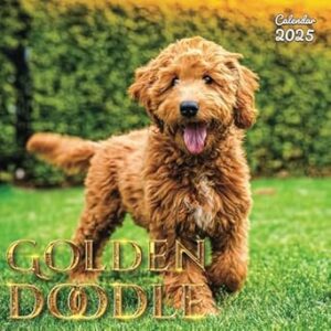 Goldendoodles Calendar 2025: A Year of Cuddly Companions