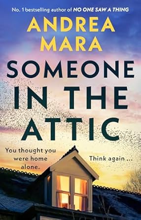 Someone in the Attic: The gripping, twisty new thriller from the Sunday Times bestselling author of No One Saw a Thing