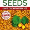Apricot Seeds - Cancer Cure with Vitamin B17?: Ancient Medicine That Modern Pharmaceutical Industry Is Hiding