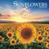 Sunflowers 2025 Calendar: Brighten Your Year with the Radiance of Sunflowers