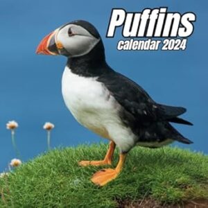 Puffins Calendar 2024: 14 Months Organizer For Home & Office , Mens , Womens , kids