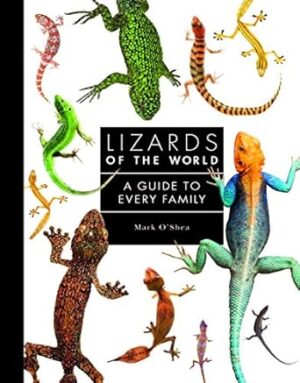 Lizards of the World: A Guide to Every Family