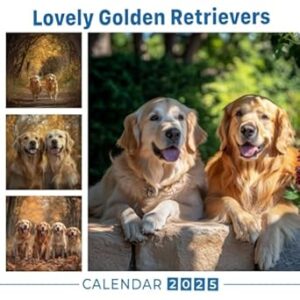 Lovely Golden Retrievers Calendar 2025: A Year Celebrating the Affectionate Nature of Golden Retrievers