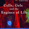 Cells, Gels & the Engines of Life: A New Unifying Approach to Cell Function