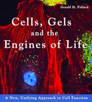 Cells, Gels & the Engines of Life: A New Unifying Approach to Cell Function