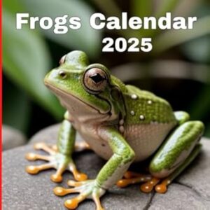 Frogs Calendar 2025