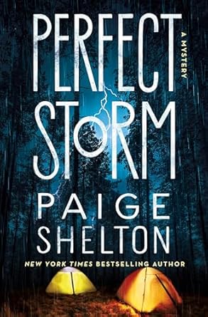 Perfect Storm: A Mystery: 6