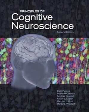 Principles of Cognitive Neuroscience