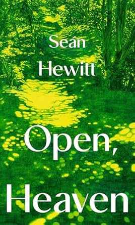Open, Heaven: The irresistible new novel about how a first love can shape a whole life