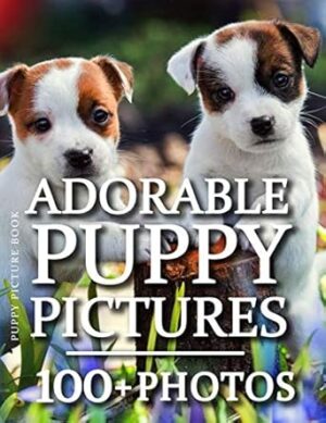 Puppy Picture Book - Adorable Puppy Pictures: 100+ Amazing Puppy Photos in this fantastic Puppy Photo Book