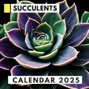 Succulents Calendar 2025: Perfect for Plant Lovers & Organizing Your Year