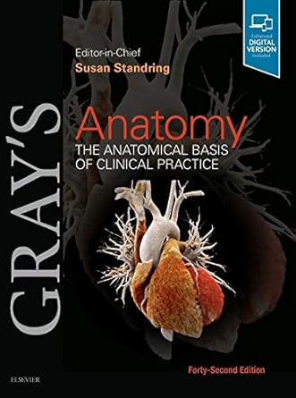 Gray's Anatomy: The Anatomical Basis of Clinical Practice