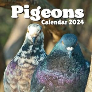 Pigeons Calendar 2024: September 2023 to December 2024 Monthly Weekly Organizer To Keep Track Of Dates