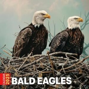 Bald Eagles Calendar 2025: 365 Days of Creativity, Bonus Last 3 Months 2024, Tailored Bald Eagles, A Unique Gift for Every Holiday, Yankee Swap, Seasonal Celebrations, Featuring