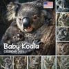 Baby Koala Calendar 2025: 365 Days of Inspiration, Bonus last 3 months 2024, Tailored for Baby Koala, A One of a Kind Event Gift for Every Occasion, Yankee Swap, Christmas Celebrations, Featuring!