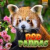 Red pandas calendar 2025: A Year of Cuteness and Conservation Awareness