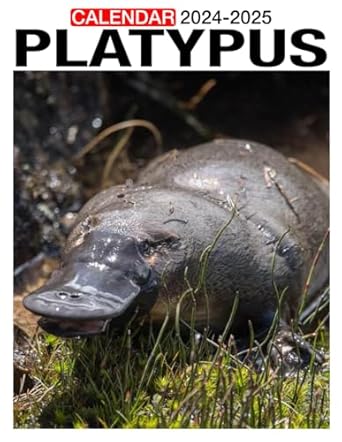 Platypus Calendar 2024 - 2025: Bring Joy and Stay Organized with Our 24-Month 2024-2025 - Perfect for Gifting or White Elephant Parties, Christmas Gift