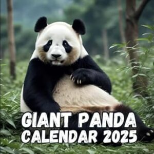 Giant Panda 2025 Calendar: 2 Months of Giant Panda from Jan 2025 to Dec 2025, Square 8.5 x 8.5 Inches Gift For Organizing & Planning