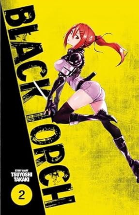 Black Torch, Vol. 2 (Volume 2)