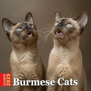 Burmese Cats Calendar 2025: Elegant and enchanting, enjoy the beauty of Burmese cats throughout the year.