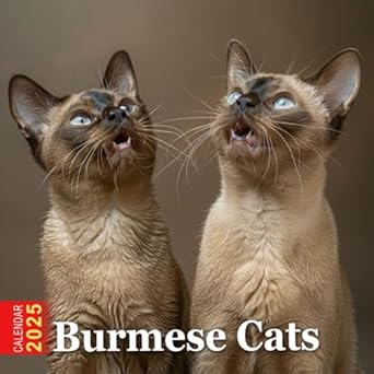 Burmese Cats Calendar 2025: Elegant and enchanting, enjoy the beauty of Burmese cats throughout the year.