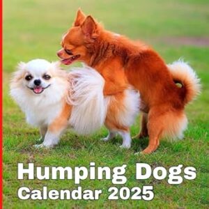 Humping dogs Calendar 2025
