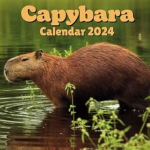 Capybara Calendar 2024: 16 Months Organizer For Home & Office Organizer , Mens , Womens , kids