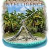 Natural Intelligence: The Technology of Peace