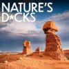 Nature's D*ck Calendar 2025