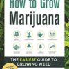How to Grow Marijuana: The Easiest Guide to Growing Weed