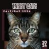 Tabby Cats Calendar 2024-2025: 18 Month Pets Calendar 2024 From January to December, Bonus 6 Months 2025 Calendar with Daily Blocks, Perfect Calendar for Organizing, Planning Perfect Birthday Gifts