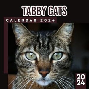 Tabby Cats Calendar 2024-2025: 18 Month Pets Calendar 2024 From January to December, Bonus 6 Months 2025 Calendar with Daily Blocks, Perfect Calendar for Organizing, Planning Perfect Birthday Gifts